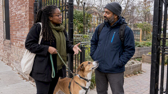 Chicago pet parent comparing dog care options