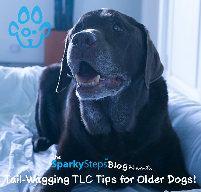 Tail-Wagging TLC Tips for Older Dogs