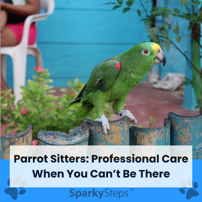 A parrot sitting in the backyard.