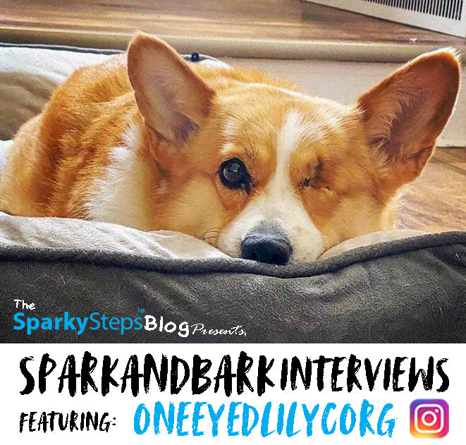 Interview with OneEyedLilyCorg! – Sparky Steps