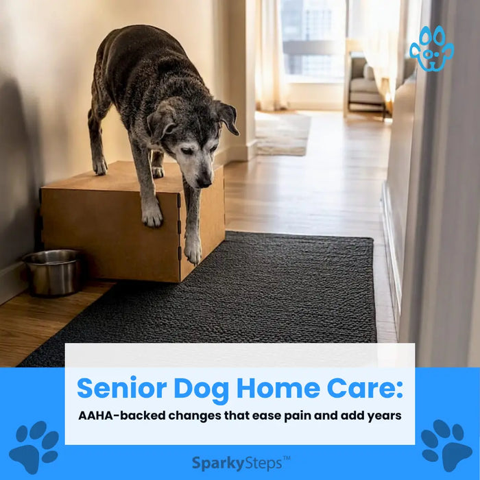 Senior Dog Home Care- AAHA-backed changes that ease pain and add years - Senior dog using a low home step