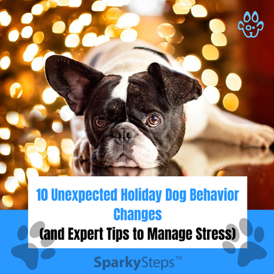 10 Unexpected Holiday Dog Behavior Changes (and Expert Tips to Manage Stress)