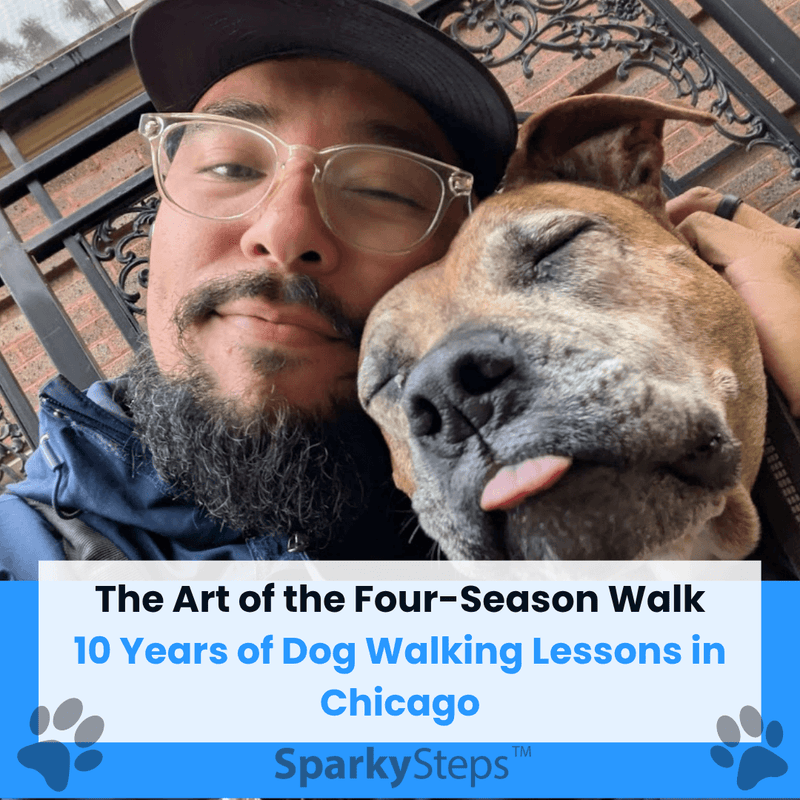 The Art of the Four-Season Walk: 10 Years of Dog Walking Lessons in Chicago