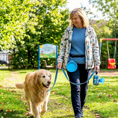 What Senior Dog Walking Involves: a Care Guide