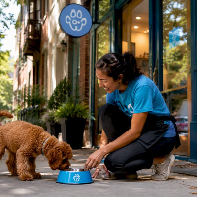 Why Local Pet Care Matters for Urban Pet Parents