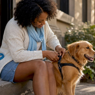 Dog Walker Meet and Greet Guide for Urban Pet Parents