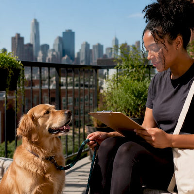 The Role of Pet Sitter During Overtime: A Chicago Guide