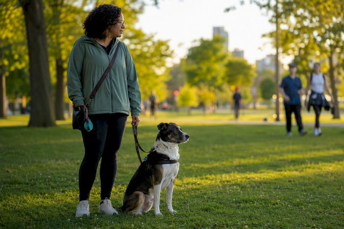 Owner holding leash managing reactive dog