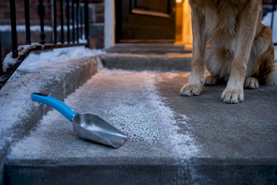 Dog Owners: 5 Vet Backed Checks to Choose the Best Pet Safe Ice Melt