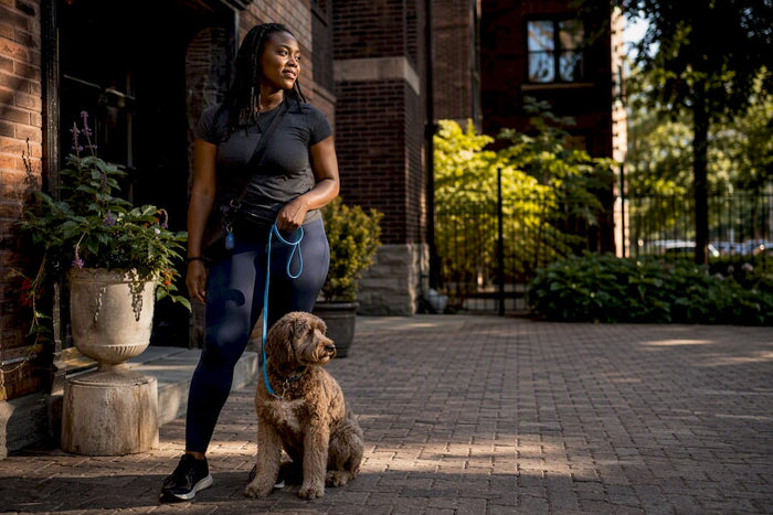 Pet sitter with dog in Chicago courtyard