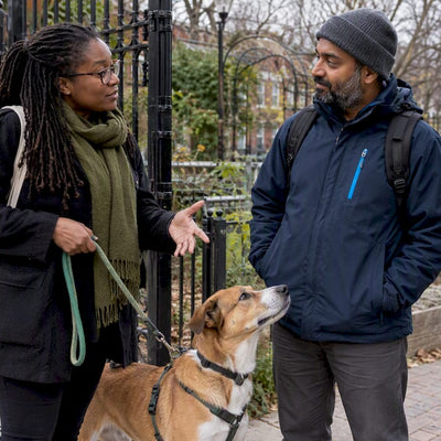 8 Questions to Decide: Apps vs Dog Walkers for Pet Parents