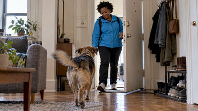 Pet Sitter Arrival Windows: What They Are and How to Plan Around Them