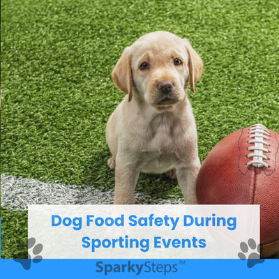 Keep Your Dog Safe While Watching the Game