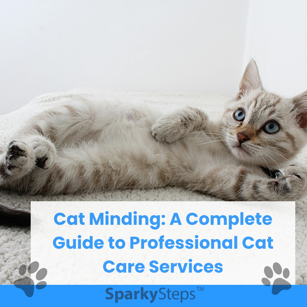 Cat Minding: Guide to Professional Cat Care Services – Sparky Steps