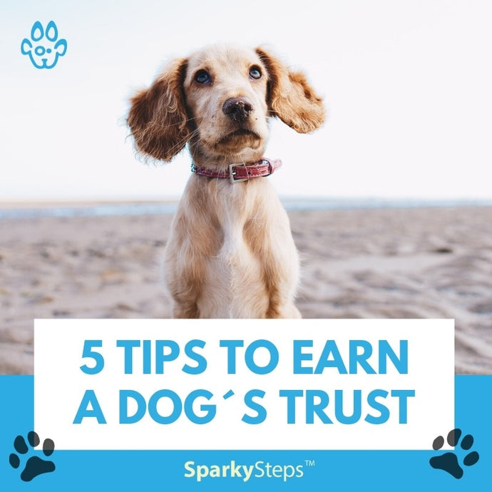 5 Tips to Earn a Dog´s Trust