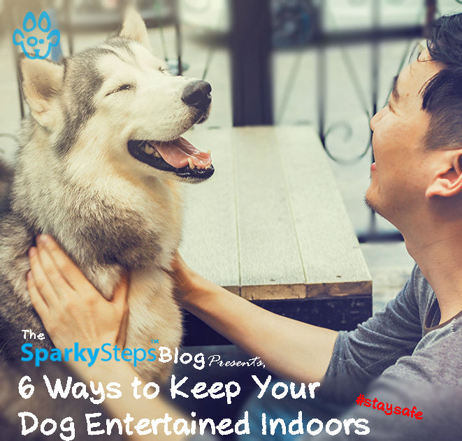 6 Ways to Keep Your Dog Entertained Indoors