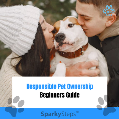 The Complete Beginner’s Guide to Responsible Pet Ownership