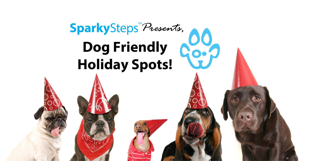 Dog Friendly Holiday Spots