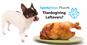 Thanksgiving Leftovers Your Pets Can (and Can't) Eat