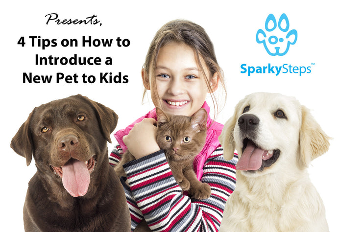 4 Tips on How to Introduce a New Pet to Kids
