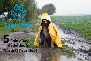 Five Rainy Day Activities For You and Your Dog
