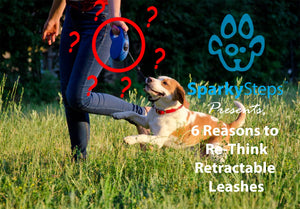 Six Reasons to Re-Think Retractable Leashes