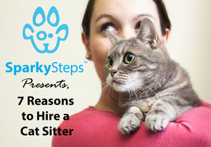 7 Significant Reasons to Hire a Professional Cat Sitter