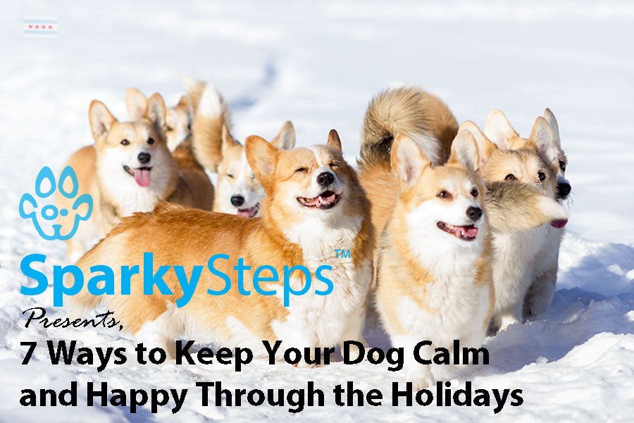 7 Ways to Keep Your Dog Calm and Happy Through the Stress of the Holidays