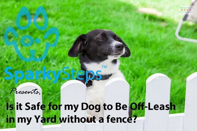 Is it Safe for my Dog to Be Off-Leash in my Yard without a fence?