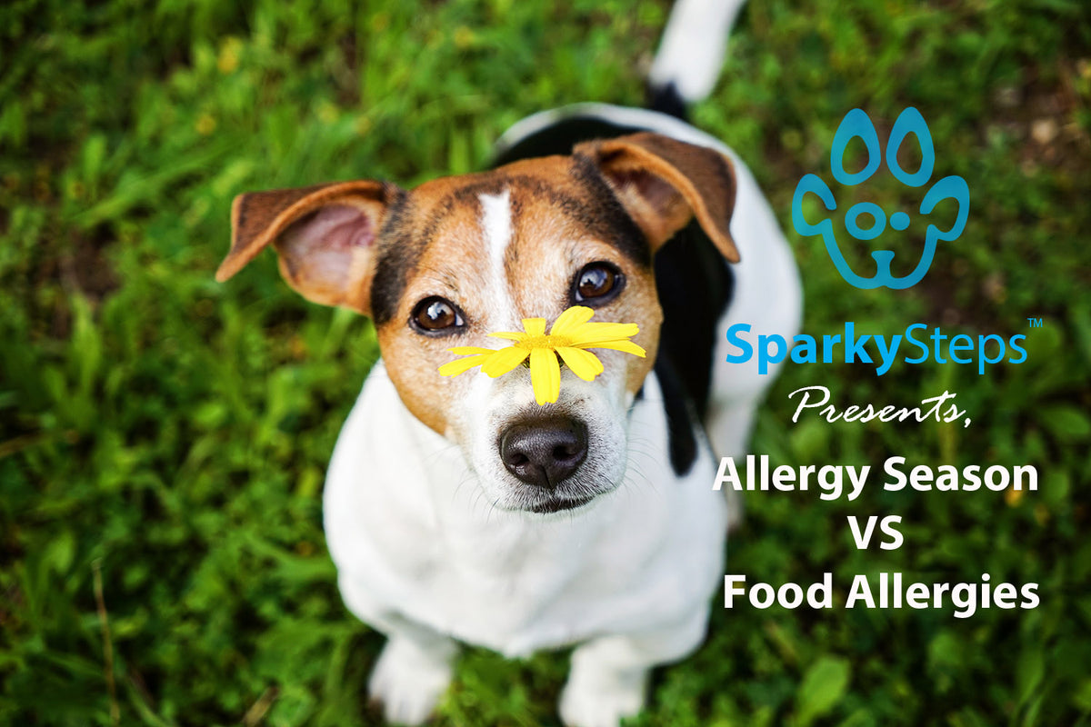 Allergy Season vs Food Allergies Sparky Steps