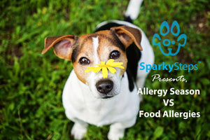Allergy Season vs Food Allergies