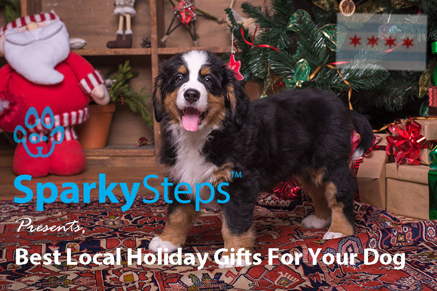Best Local Holiday Gifts For Your Dog