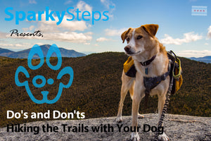 Do's and Don'ts of Hiking the Trails with Your Dog