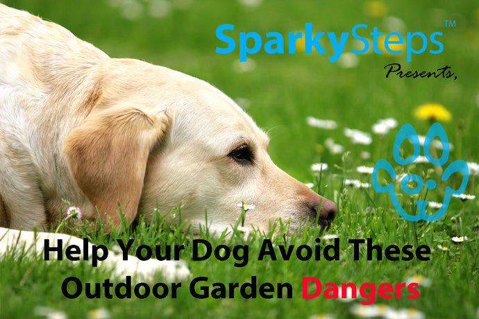 Help Your Dog Avoid These Outdoor Garden Dangers