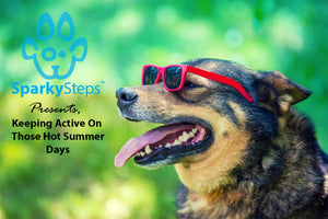 How to Keep Your Dog Active on Blazing Hot Summer Days