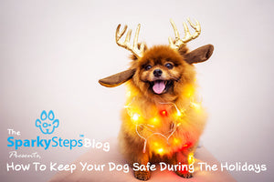 How To Keep Your Dog Safe During The Holidays