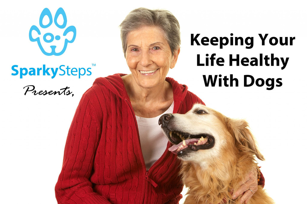 Keeping Your Life Healthy With Dogs