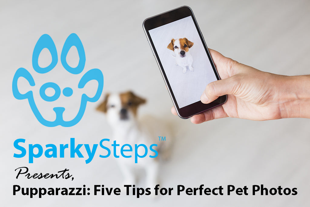 Pupparazzi: Five Tips for Perfect Pet Photos