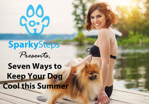 Seven Ways to Keep Your Dog Cool this Summer