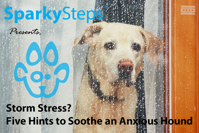 Storm Stress? Five Hints to Soothe an Anxious Hound