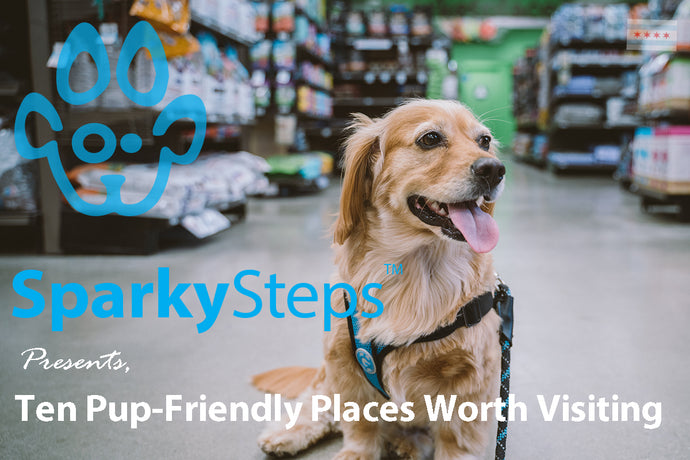 Ten Pup-Friendly Places Worth Visiting