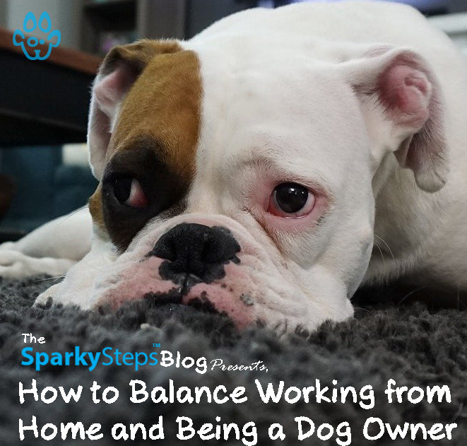 How to Balance Working from Home and Being a Dog Owner