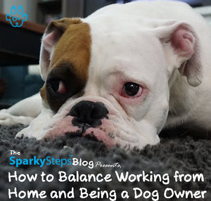 How to Balance Working from Home and Being a Dog Owner