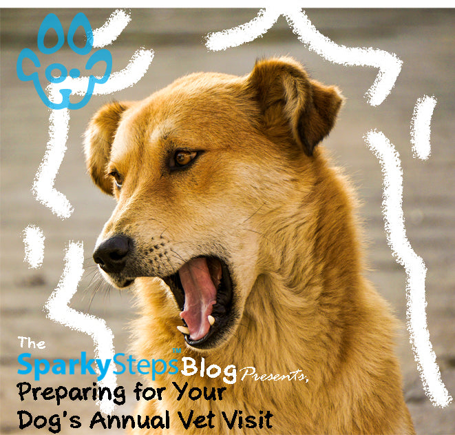 Preparing for Your Dog’s Annual Vet Visit