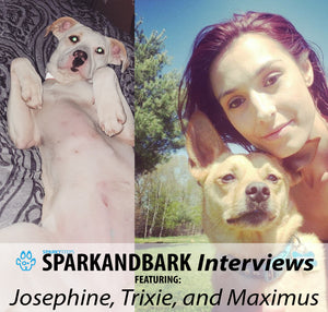 Interview With Josephine, Trixie, and Maximus
