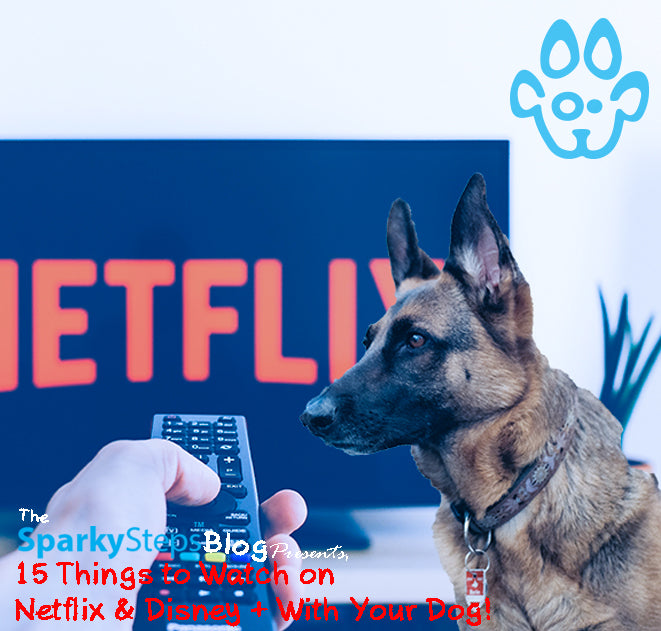 15 Things to Watch on Netflix & Disney + With Your Dog