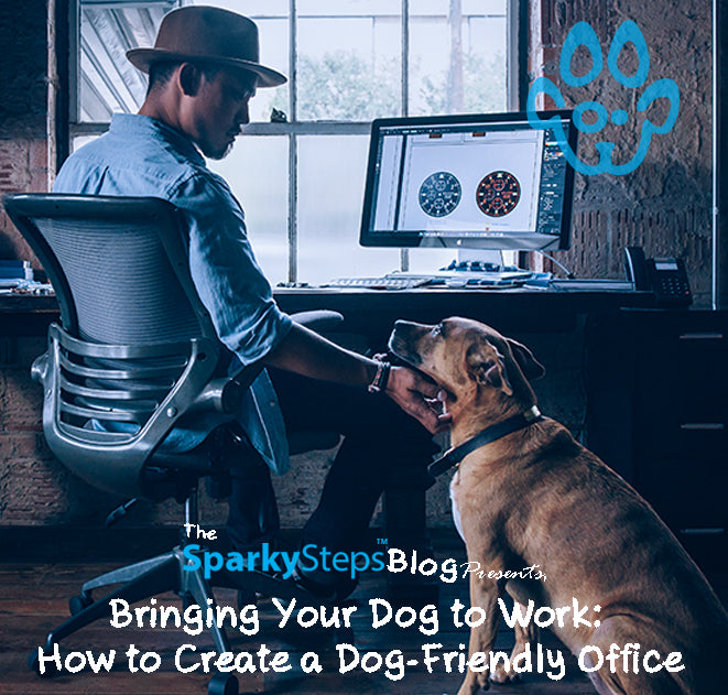 Bringing Your Dog to Work: How to Create a Dog-Friendly Office