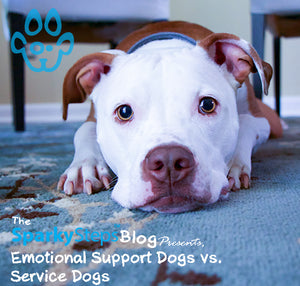 Emotional Support Dogs vs. Service Dogs