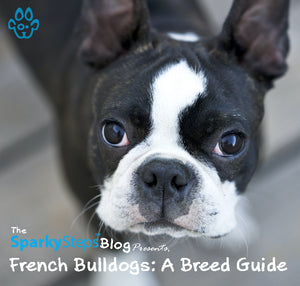 French Bulldogs: A Breed Guide