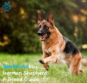 German Shepherd: A Breed Guide